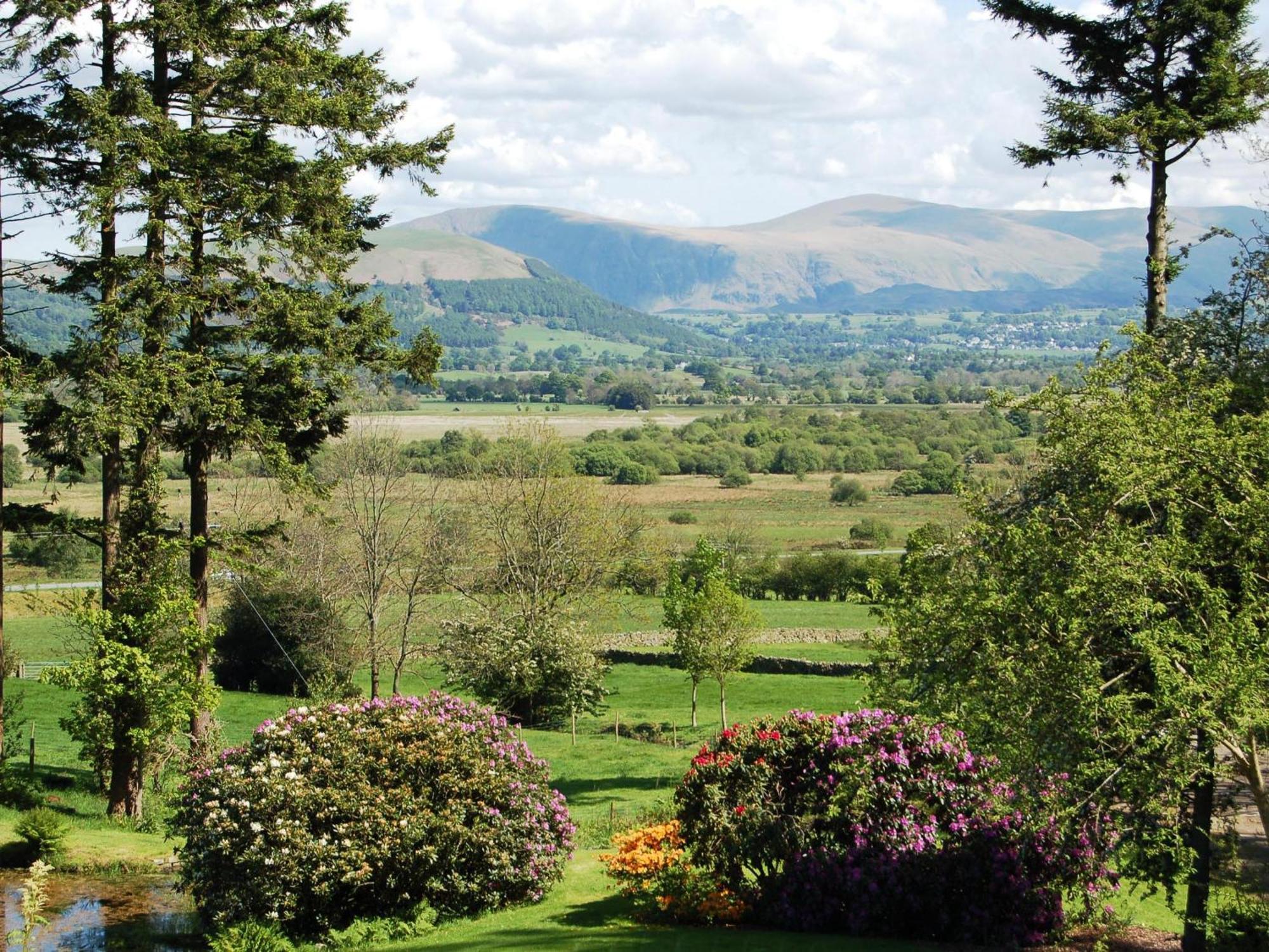 Bishop View